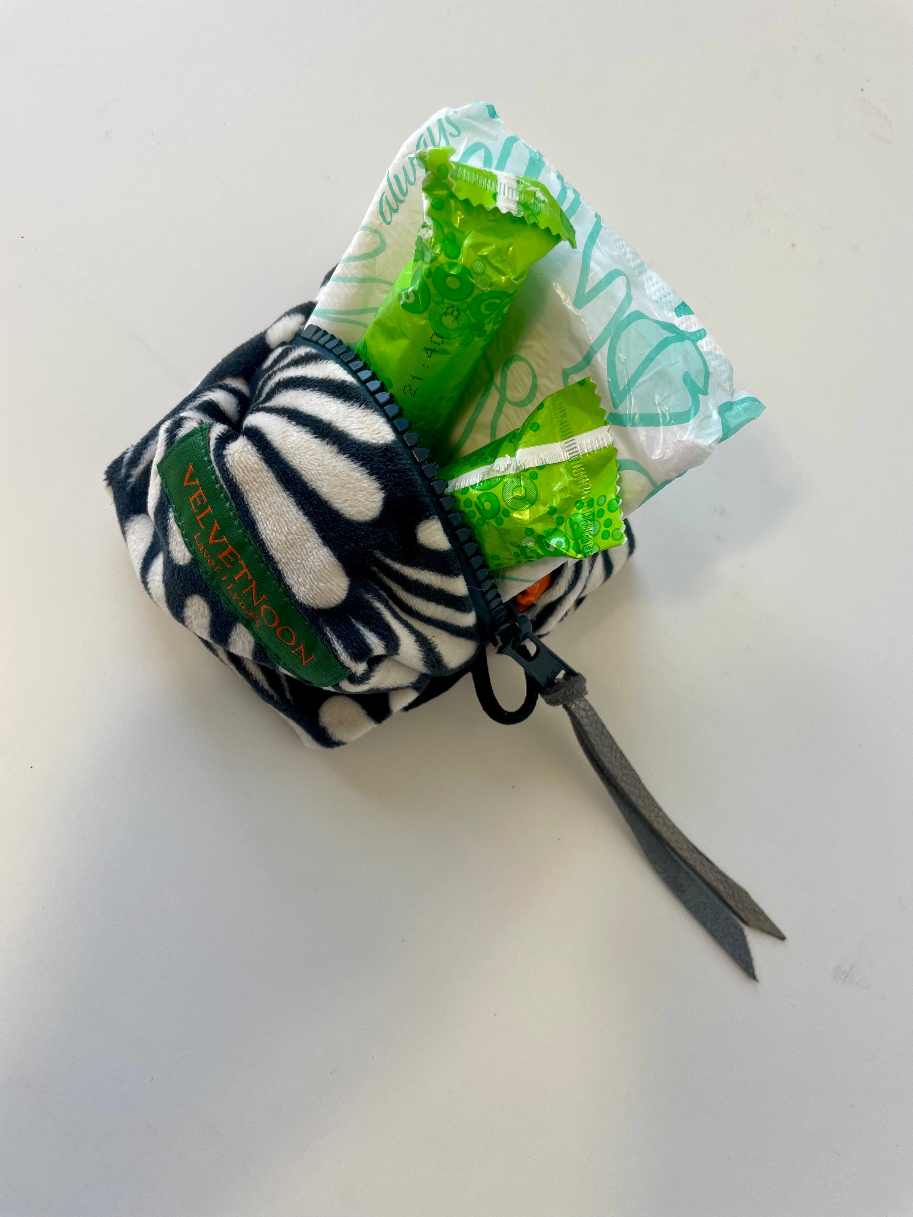 Mini Zebra