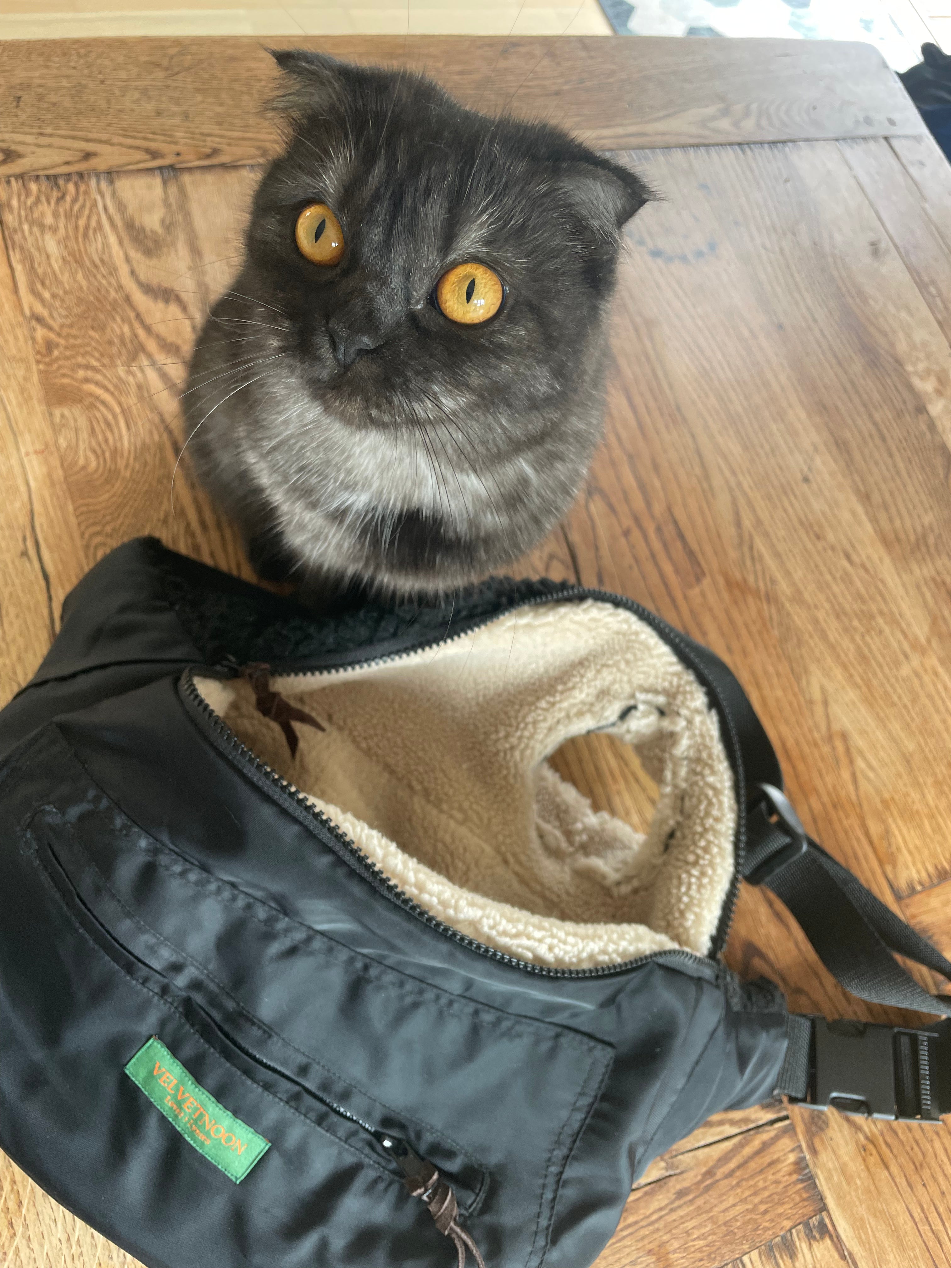 Pet Bumbag